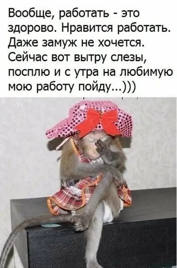 Сейчас пойду работать. Прикольные картинки про работу. я на работе картинки. когда не хочется работать смешные картинки. на любимую работу.