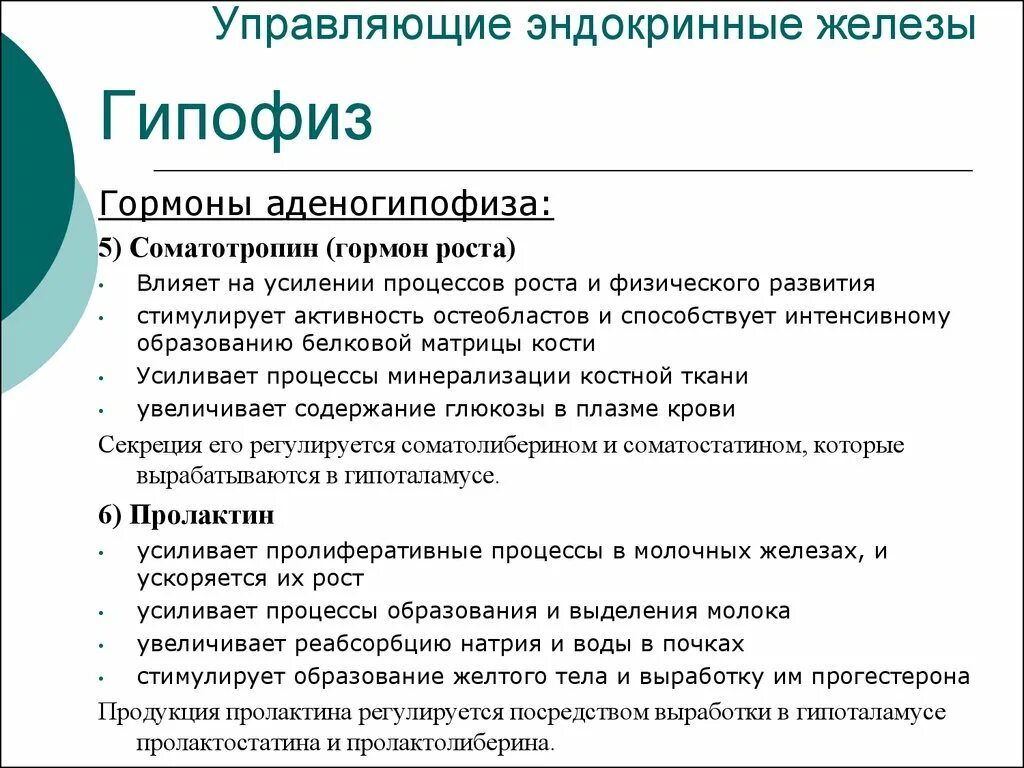 Управляющие эндокринные железы. Гормон роста вырабатываемый в гипофизе. Аденогипофиз продуцирует гормоны. Какие гормоны вырабатывает гипофиз.