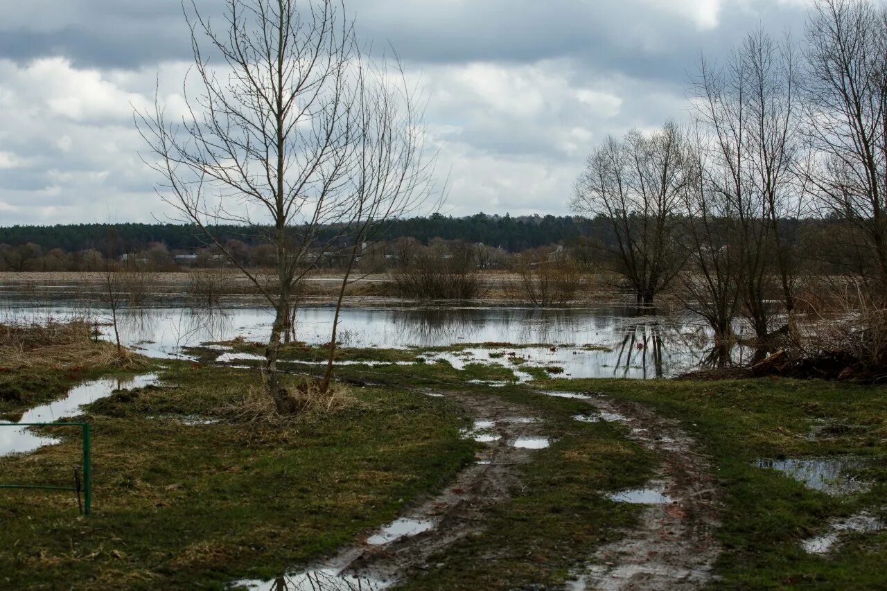 Уровень воды в жиздре козельск сегодня. Река Жиздра разлив. Козельск река Жиздра. Разлив в Козельске. Вода Козельск.