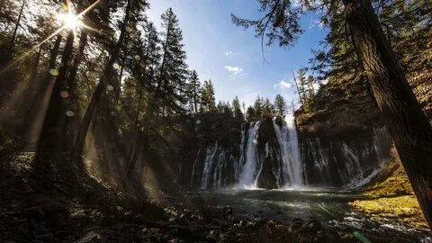 Лесной водопад