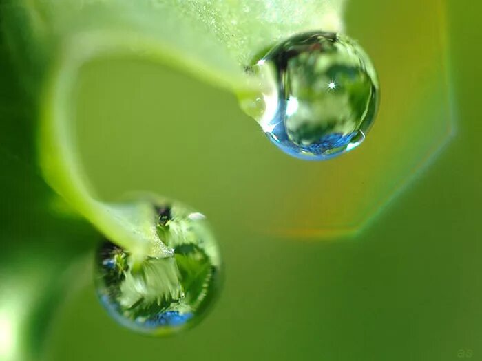 капелька установить. капелька установить. красивые капли. капли. капелька для детей.