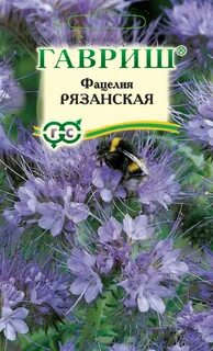 Фацелия газон