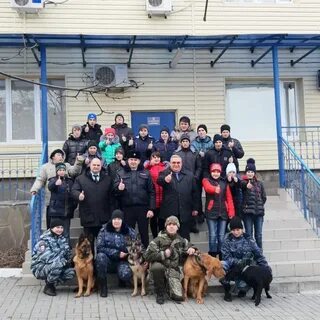 Кинолог ростов
