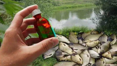 Ловить карася приманка