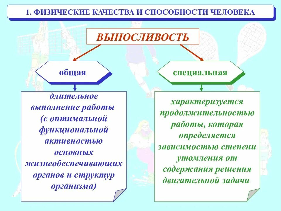 Дать определение физическим качествам