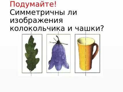 Способы конструирования симметричных форм