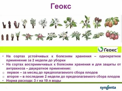 Устойчивые сорта к болезням