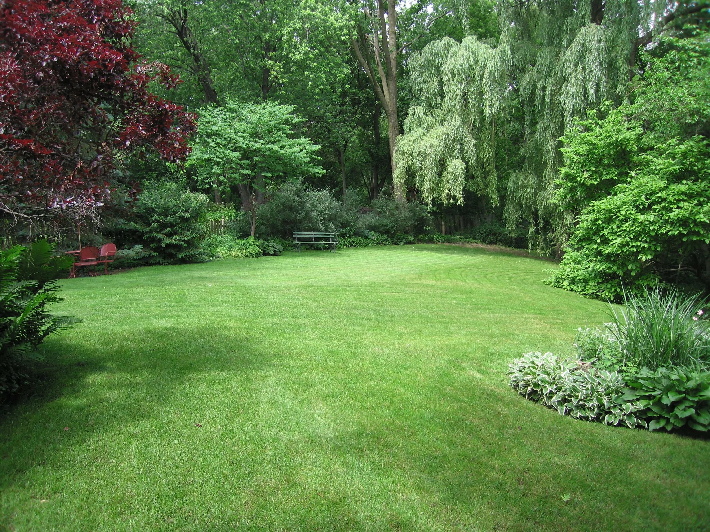 Planted area. Naturgarden пейзажный стиль. Гарденс Грин зеленый сад. Спирея геопластика. Газон Тенистый сад.