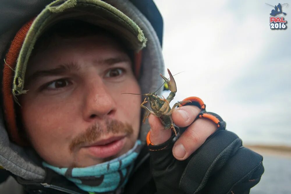 Вихров никита. Вихров pal. М вихров. Беляев вихров пал. М вихров.