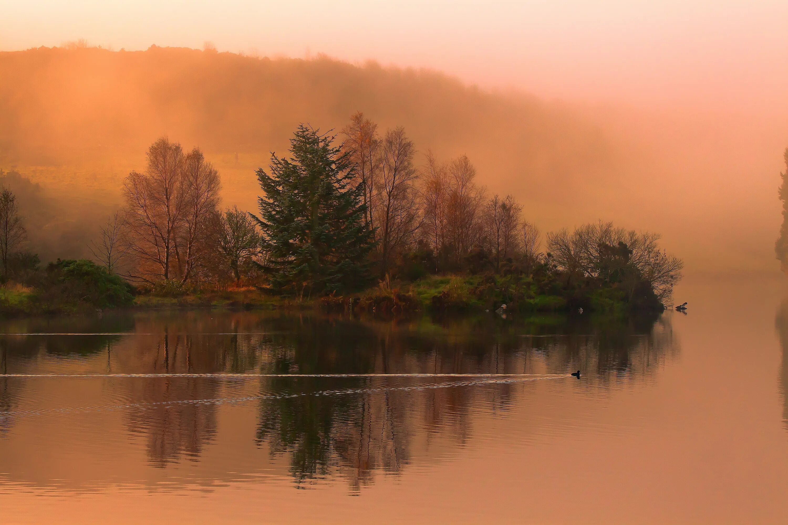Осень река туман. Река вятка в тумане. Моросящий осенний дождь. Пасмурный осенний день. Церковь андрея первозванного на реке вуокса туман.