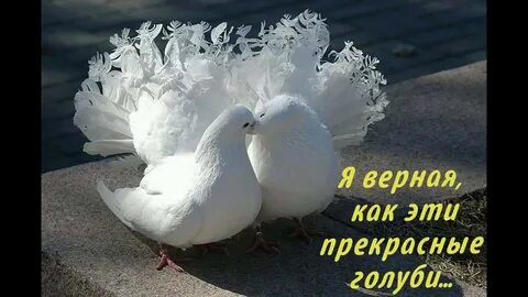Увидеть 2 белых голубей