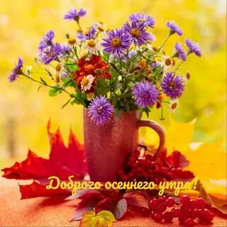 Осенние цветы с надписью доброе утро
