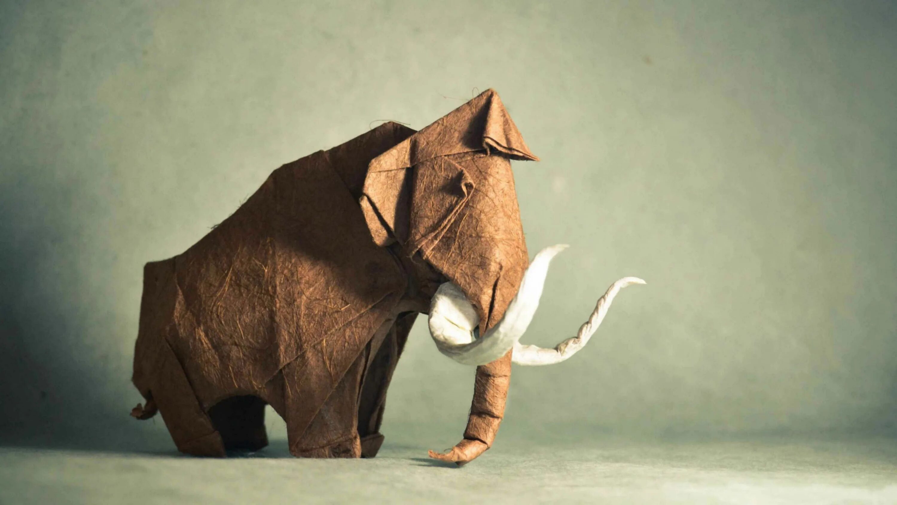 The Origami Zoo :: Behance