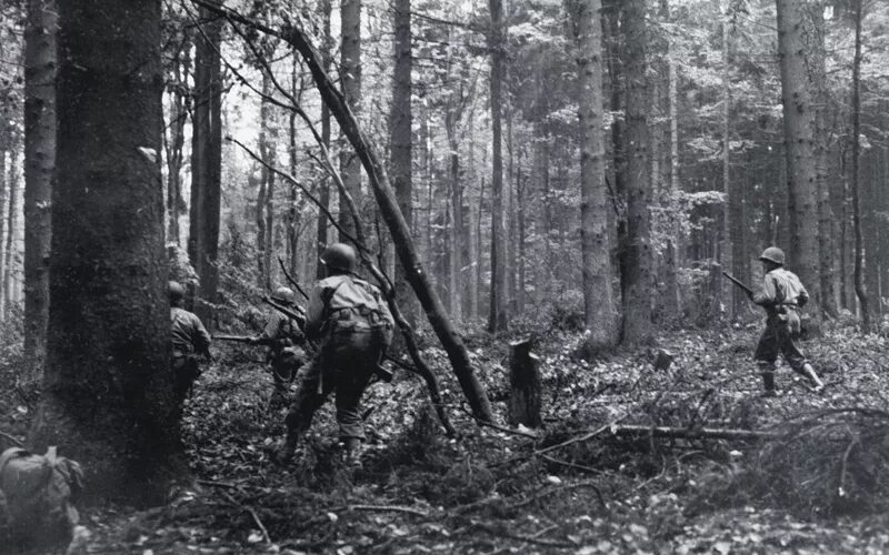Лес у володи. Аргонский лес первая мировая. Хуртгенский лес 1944.