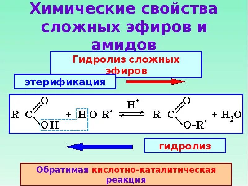 Амиды карбоновых кислот. Химические свойства сложных эфиров. Хим свойства сложных эфиров. Сложные эфиры и амиды. Свойства спиртов и карбоновых кислот