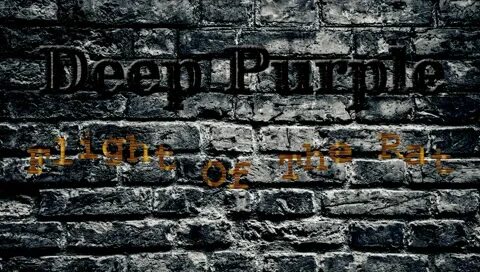 Deep purple flight of the rat