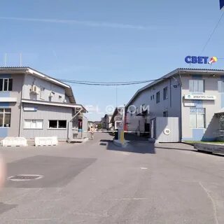 Адрес грибки