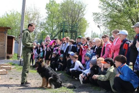 Собака йошкар ола