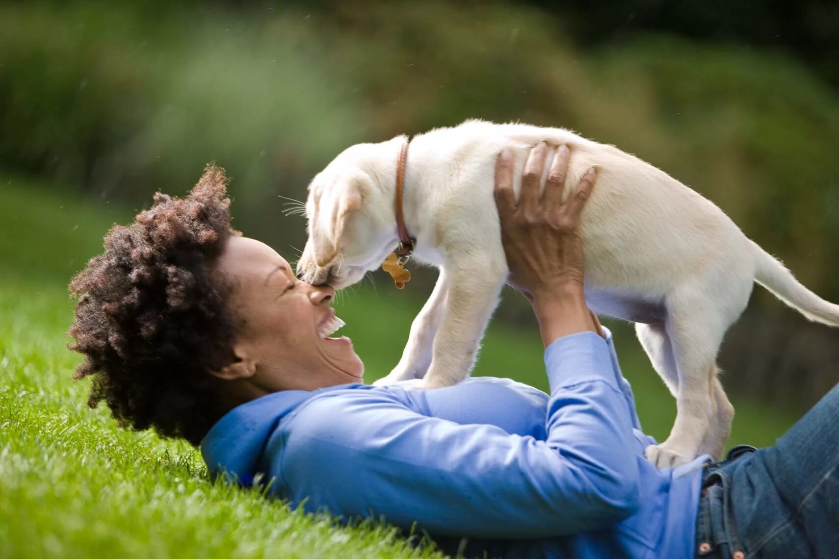 He works with animals. People and animals. feed dog for brother ma4.