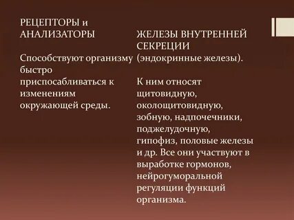 Общество единая система