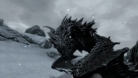 Dragons having