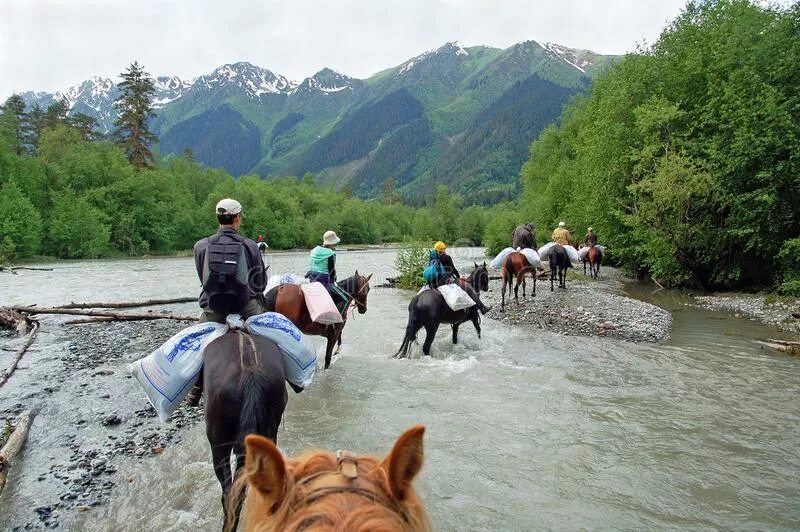 Лошадь переправа. Конные прогулки Архыз. Лошади в Архызе. Вброд на лошадях. Переправа лошадей через реку.