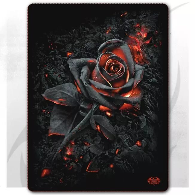 Пепел розы. Темные розы. Красивая желтая роза арт. Пепел розы. Файер флейм роза.