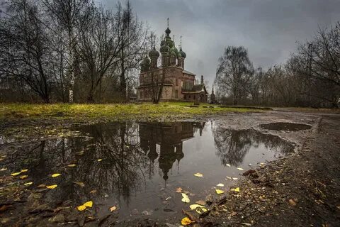 Позднюю кампанию