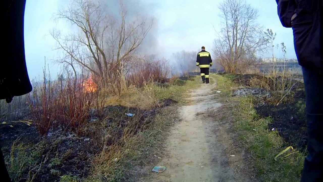 Пожары в Омске Птичья гавань. ДТП около птичьей Гавани. Фото Птичья гавань пожар. Птичья гавань Омск фото. Омск 17 апреля