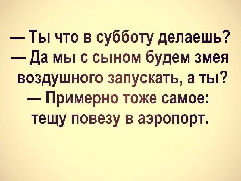 Сделай суббота. Что делать в субботу. А ты что делаешь в субботу. Змея запускать анекдот. Что поделать в субботу.