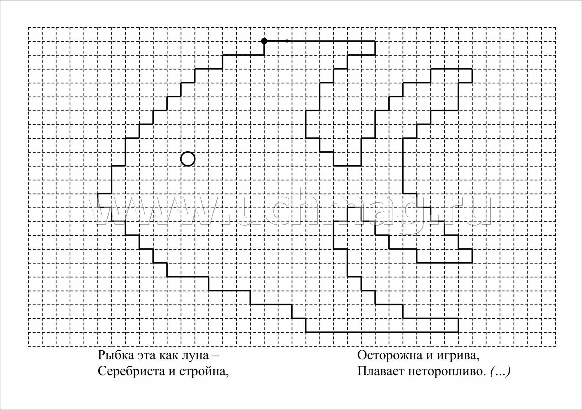 Картинки диктанта. Графический диктант рыба. Рисование по клеточкам рыбка для детей. Рисунки по клеточкам рыба. Графическое рисование по клеткам рыба.