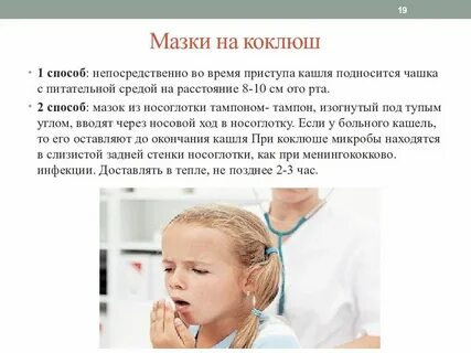 Коклюш 2024