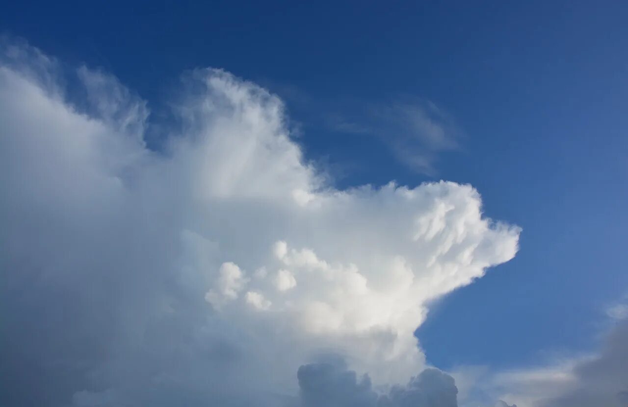 Белое облако. Белоснежные тучи толпами. White clouds, Нижний Новгород. Облако в форме собаки.