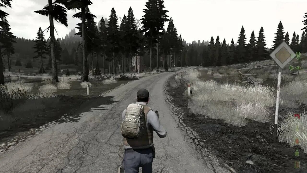 Dayz zavr. Dayz zavr