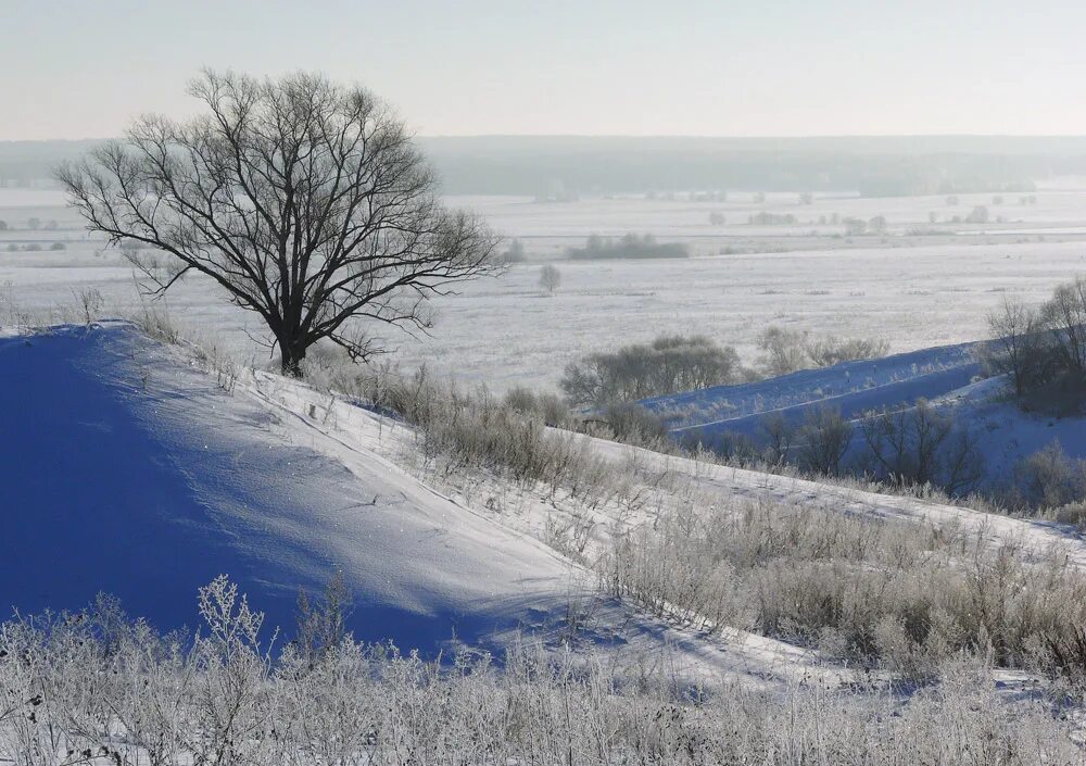 Тульская область зима. Тула озеро кондуки зимой. Тульская область зимой. Тула романцевские горы зимой. Тульская область зима.
