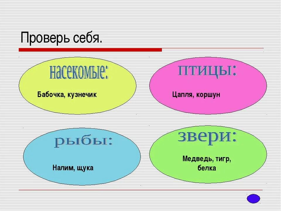 Презентация многообразие животных 1 класс. Проверь себя. Животные с указателями проверь себя.