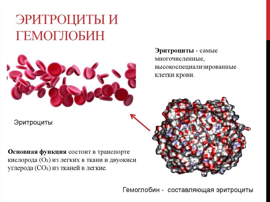 Изменения гемоглобина в крови