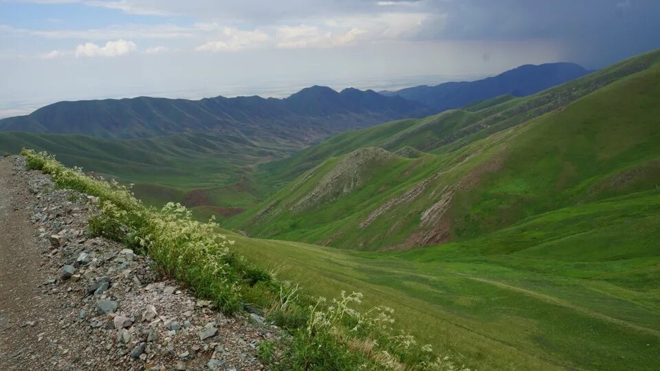 Мерке Джамбульская область. Горы Мерке Казахстан. Ущелье Мерке в Жамбылской области. Меркенский район Жамбылской области.