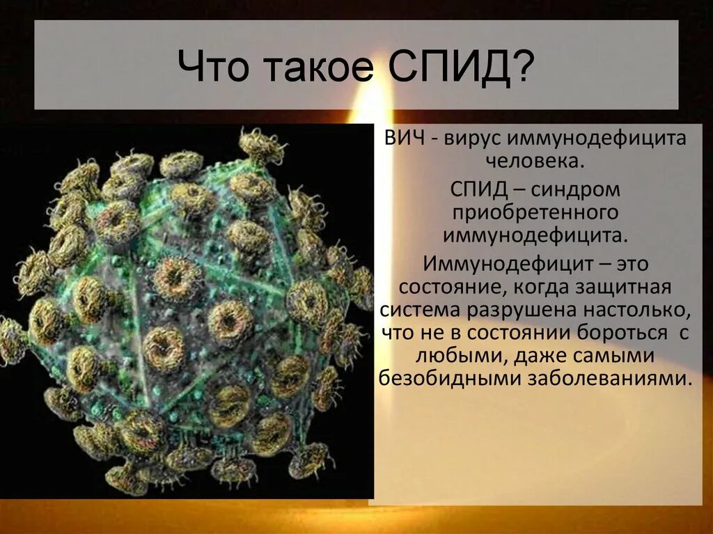 ВИЧ. Информация о вирусе СПИДА. P virus