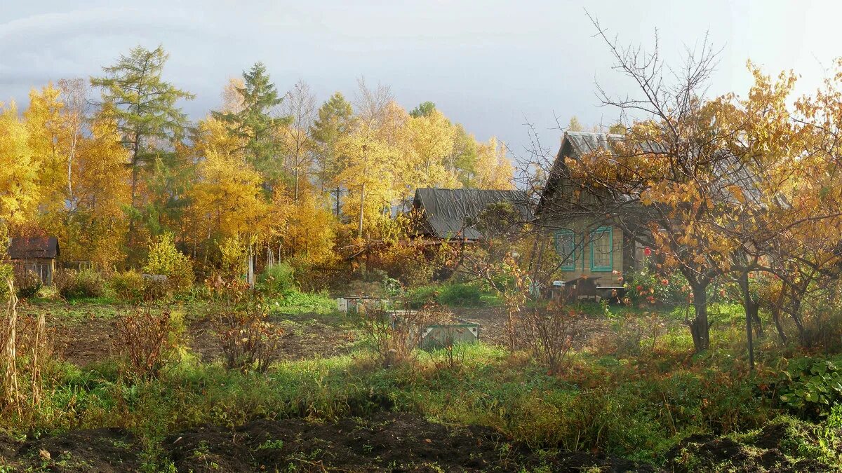 Купить участок октября. Участок осенью. Дача. Осень. Осенью на даче. Поздняя осень на даче.