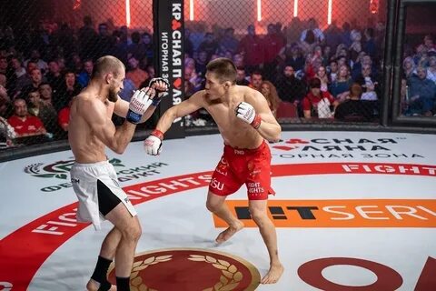 Турнир fight