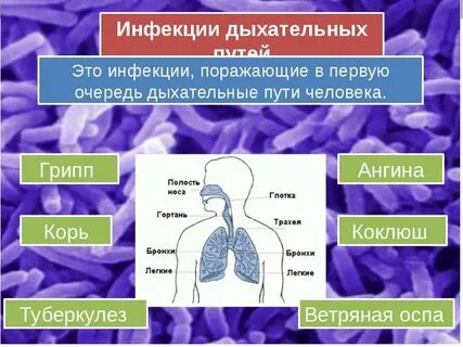 Инфекция дыхательной системы