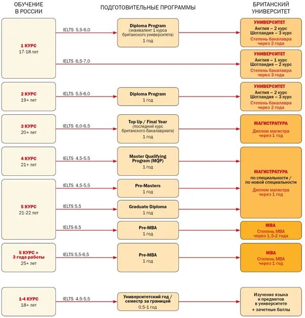 Какие степени в университете. Стадии учебы в университете. Степени образования в университете. Стадии обучения в университете. Степени обучения в вузе.