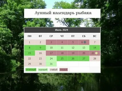 Лунный календарь на август рыбака 2024 года
