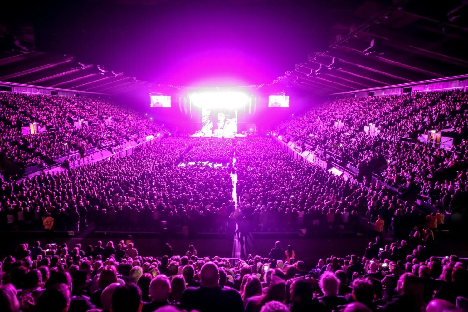 Wembley Arena London. SSE Arena. The SSE Arena, Wembley | Великобритания - 12 500 мест. Wembley Arena Concert. Песня de arena