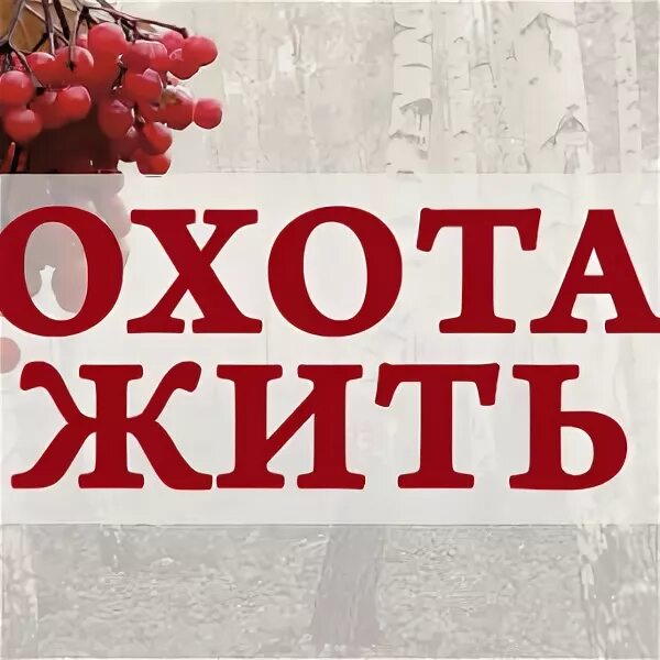 Охота жить отзывы. Охота жить отзывы. Шукшин в. Охота жить театр на васильевском. Охота жить отзывы.