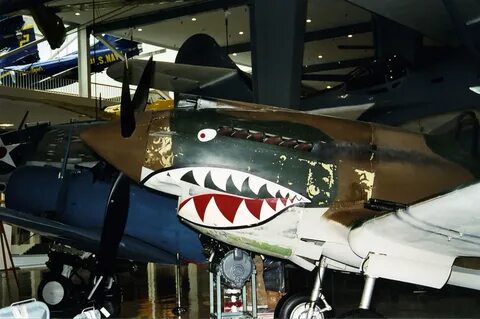 S p 40