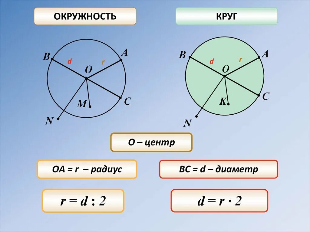 Круг математика 5 класс. Окружность. Окружность 5 класс. Круги и окружности. Окружность 5 класс математика.