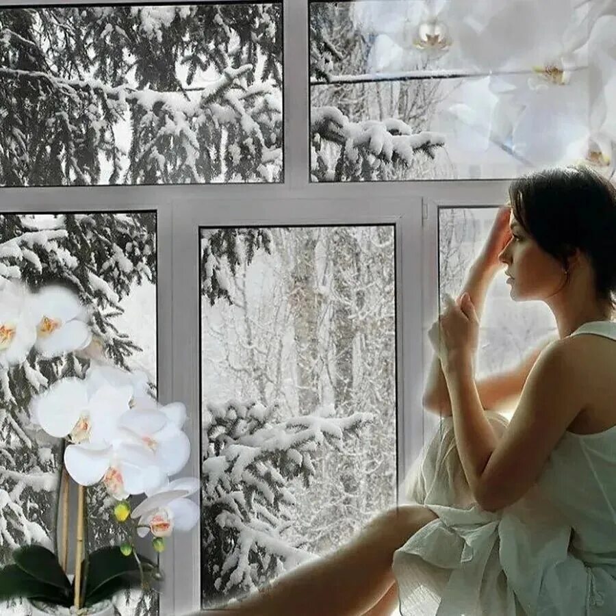 Женщина у окна зимой. Женщина у зимнего окна. Цветы на окне. Позабыли 3 январь