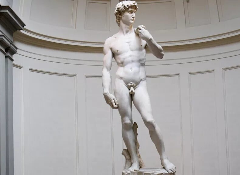 Show penis. Нептун статуя Микеланджело. Античные мужские статуи.